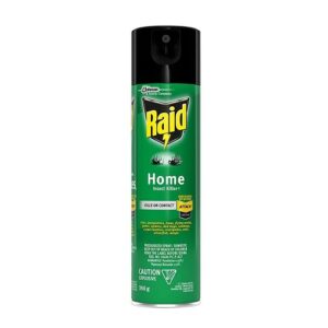 Raid Home Insect Killer 350g